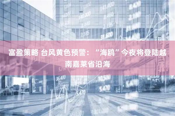 富盈策略 台风黄色预警：“海鸥”今夜将登陆越南嘉莱省沿海