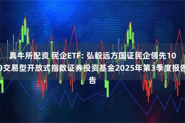 真牛所配资 民企ETF: 弘毅远方国证民企领先100交易型开放式指数证券投资基金2025年第3季度报告
