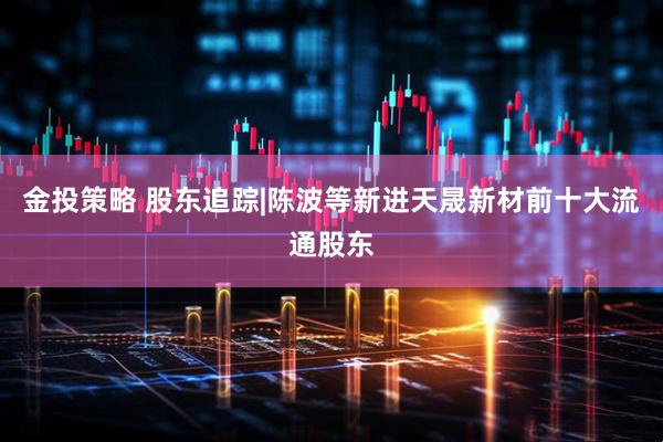 金投策略 股东追踪|陈波等新进天晟新材前十大流通股东