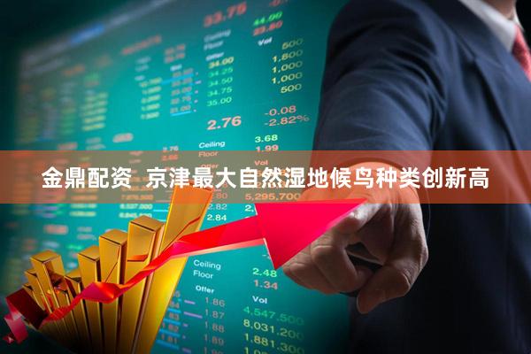 金鼎配资  京津最大自然湿地候鸟种类创新高